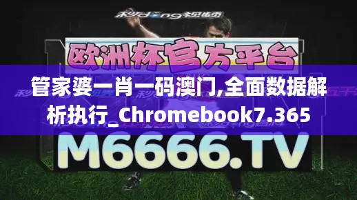 管家婆一肖一码澳门,全面数据解析执行_Chromebook7.365