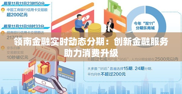 领南金融实时动态分期:创新金融服务助力消费升级