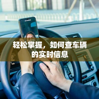 轻松掌握，如何查车辆的实时信息