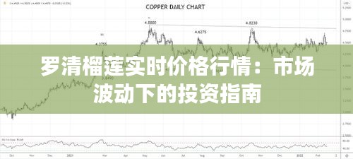 罗清榴莲实时价格行情:市场波动下的投资指南