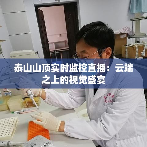 泰山山顶实时监控直播:云端之上的视觉盛宴