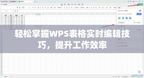 轻松掌握WPS表格实时编辑技巧,提升工作效率