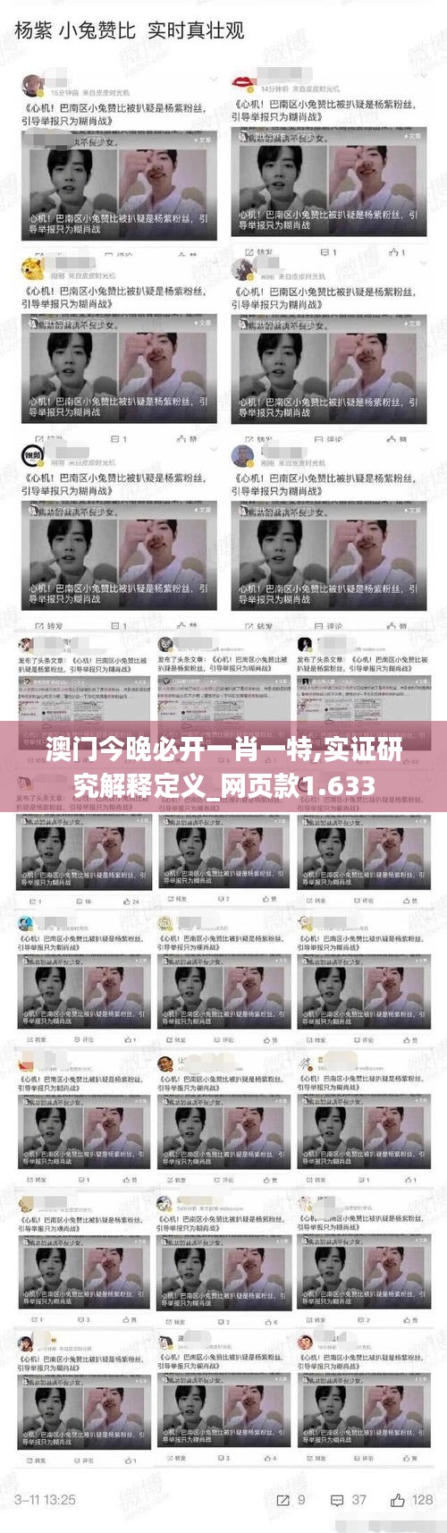 澳门今晚必开一肖一特,实证研究解释定义_网页款1.633