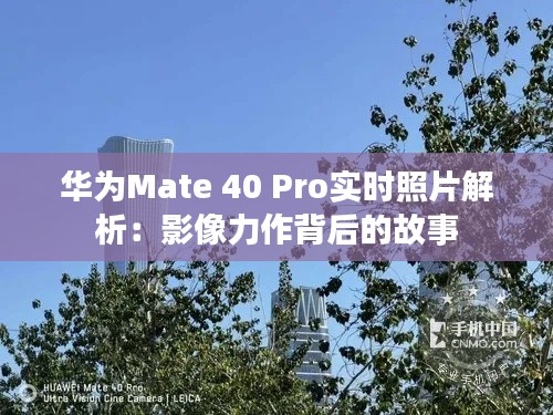 华为Mate 40 Pro实时照片解析:影像力作背后的故事