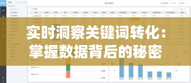 实时洞察关键词转化:掌握数据背后的秘密