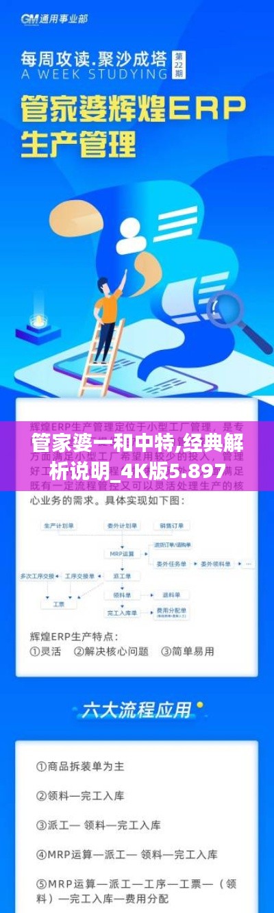 管家婆一和中特,经典解析说明_4K版5.897
