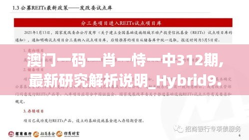 澳门一码一肖一恃一中312期,最新研究解析说明_Hybrid9.985
