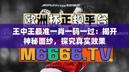 王中王最准一肖一码一过:揭开神秘面纱,探究真实效果