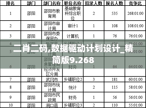 二肖二码,数据驱动计划设计_精简版9.268
