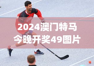 2024澳门特马今晚开奖49图片,适用设计解析_动态版8.143