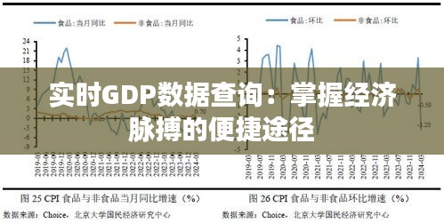 实时GDP数据查询:掌握经济脉搏的便捷途径