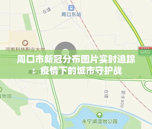 周口市新冠分布图片实时追踪：疫情下的城市守护战