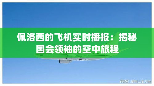 佩洛西的飞机实时播报：揭秘国会领袖的空中旅程