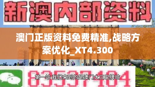 澳门正版资料免费精准,战略方案优化_XT4.300