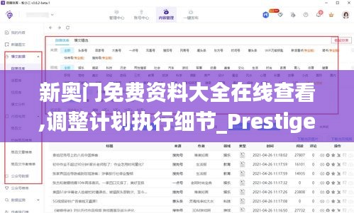 新奥门免费资料大全在线查看,调整计划执行细节_Prestige2.694