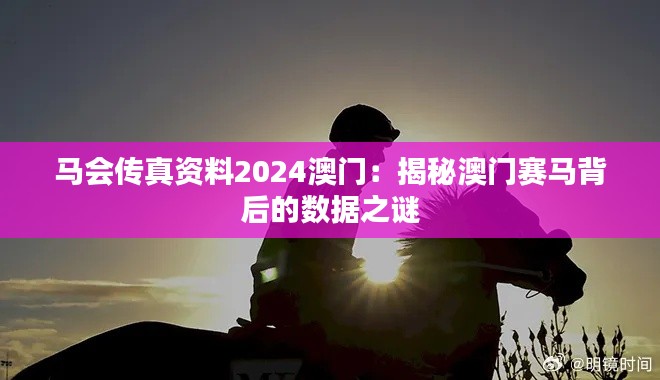 马会传真资料2024澳门:揭秘澳门赛马背后的数据之谜