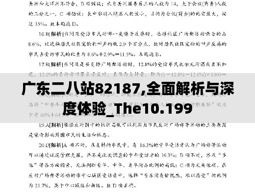 广东二八站82187,全面解析与深度体验_The10.199