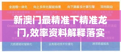 新澳门最精准下精准龙门,效率资料解释落实_专家版5.462