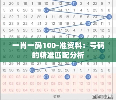 一肖一码100-准资料:号码的精准匹配分析