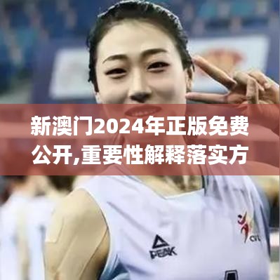 新澳门2024年正版免费公开,重要性解释落实方法_LT5.716