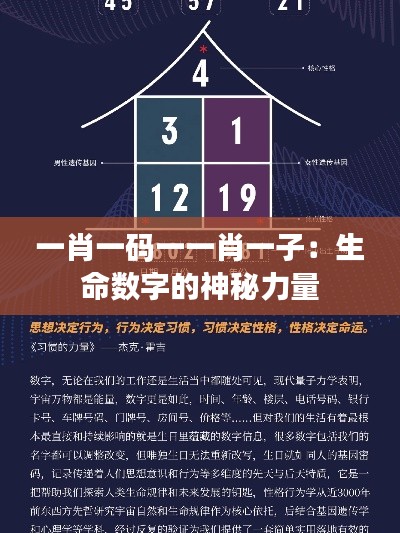 一肖一码一一肖一子：生命数字的神秘力量