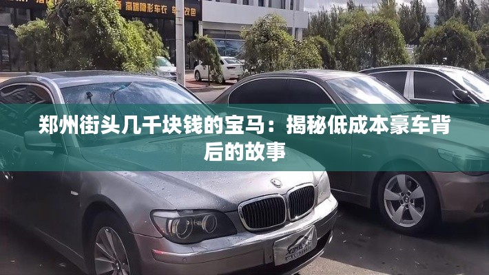 郑州街头几千块钱的宝马:揭秘低成本豪车背后的故事