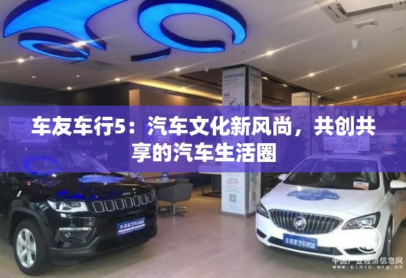 车友车行5:汽车文化新风尚,共创共享的汽车生活圈