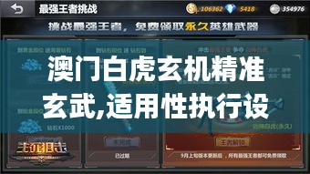 澳门白虎玄机精准玄武,适用性执行设计_进阶版15.876