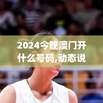 2024今晚澳门开什么号码,动态说明解析_10DM16.949