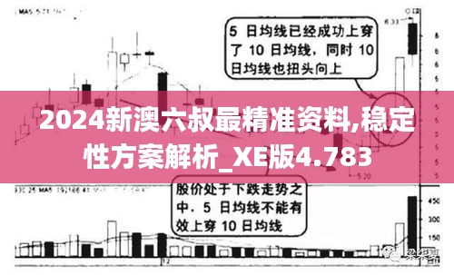 2024新澳六叔最精准资料,稳定性方案解析_XE版4.783