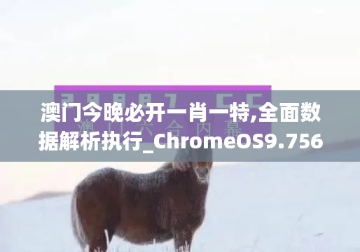 澳门今晚必开一肖一特,全面数据解析执行_ChromeOS9.756