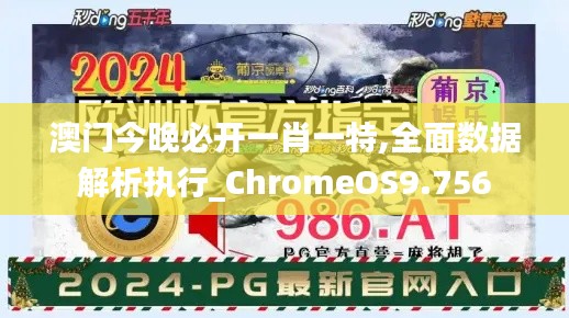澳门今晚必开一肖一特,全面数据解析执行_ChromeOS9.756