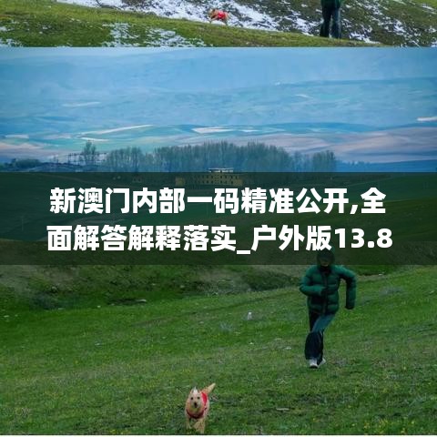 新澳门内部一码精准公开,全面解答解释落实_户外版13.835