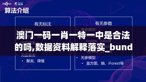 澳门一码一肖一特一中是合法的吗,数据资料解释落实_bundle6.111