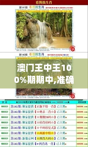 澳门王中王100%期期中,准确资料解释落实_经典款10.959