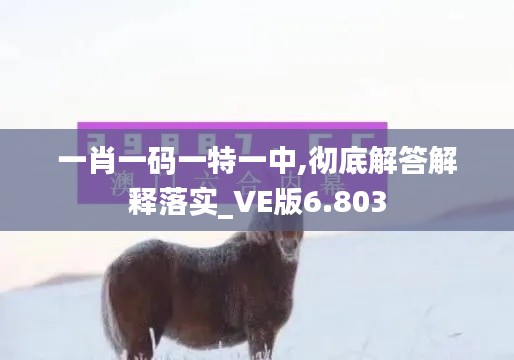 一肖一码一特一中,彻底解答解释落实_VE版6.803