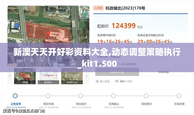 新澳天天开好彩资料大全,动态调整策略执行_kit1.500