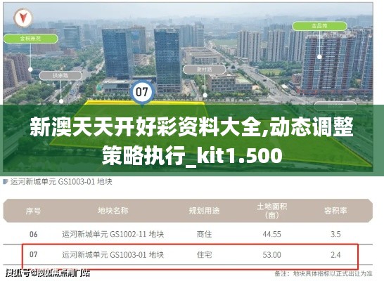 新澳天天开好彩资料大全,动态调整策略执行_kit1.500