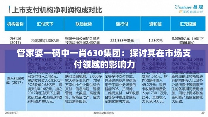 管家婆一码中一肖630集团:探讨其在市场支付领域的影响力
