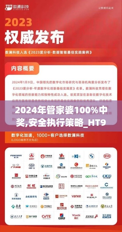 2024年管家婆100%中奖,安全执行策略_HT9.494