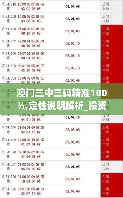 澳门三中三码精准100%,定性说明解析_投资版1.549