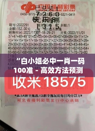 “白小姐必中一肖一码100准 - 高效方法预测未来走势”