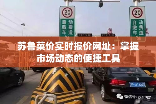 苏鲁菜价实时报价网址：掌握市场动态的便捷工具