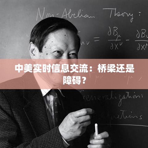 中美实时信息交流:桥梁还是障碍?