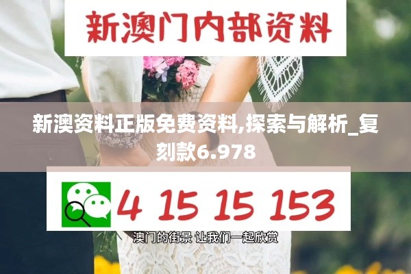 新澳资料正版免费资料,探索与解析_复刻款6.978