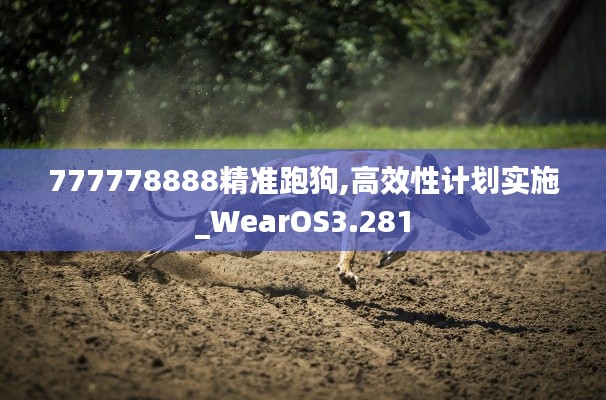 777778888精准跑狗,高效性计划实施_WearOS3.281