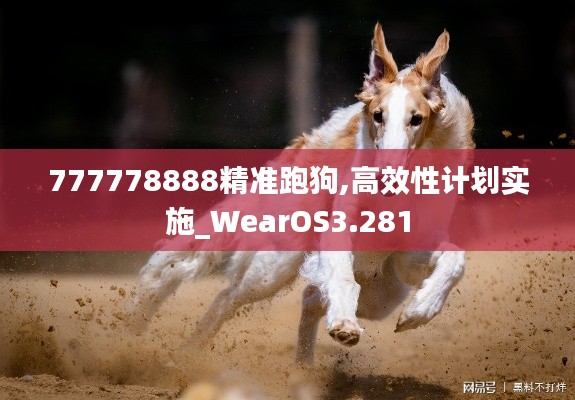 777778888精准跑狗,高效性计划实施_WearOS3.281