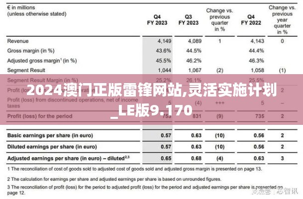2024澳门正版雷锋网站,灵活实施计划_LE版9.170