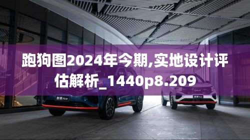 跑狗图2024年今期,实地设计评估解析_1440p8.209