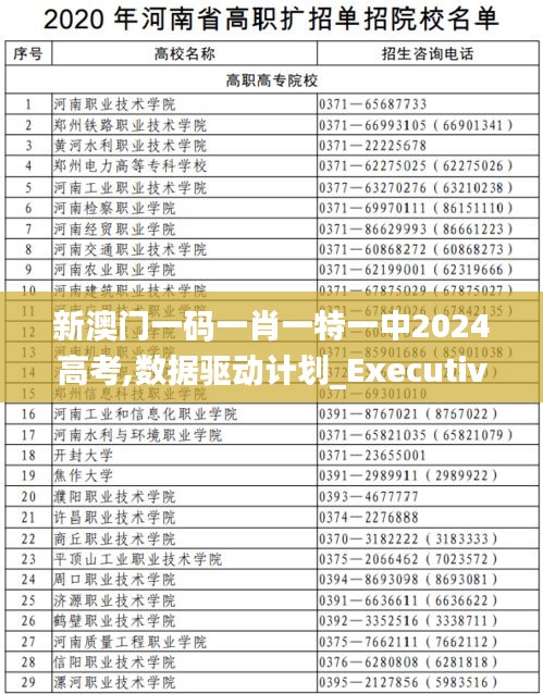 新澳门一码一肖一特一中2024高考,数据驱动计划_Executive10.184